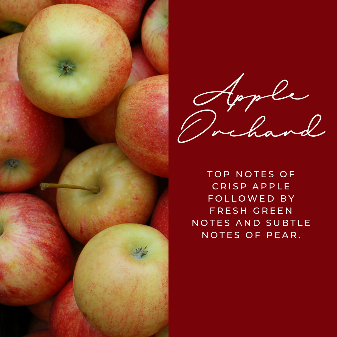 Apple Orchard